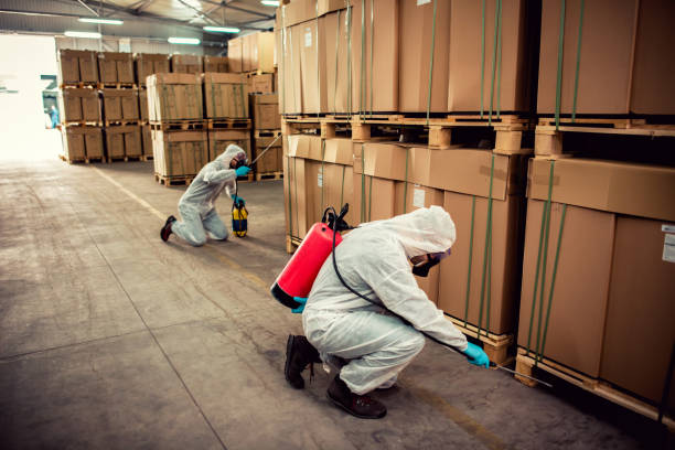 Professional Pest Control in Sargent, TX