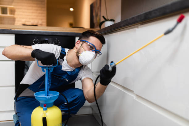 Best Mosquito Control Services  in Sargent, TX
