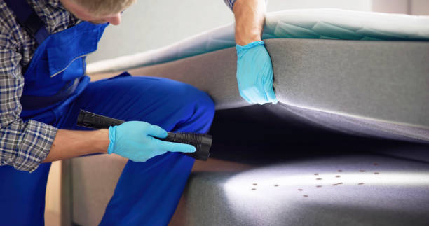 Best Flea Control Services  in Sargent, TX