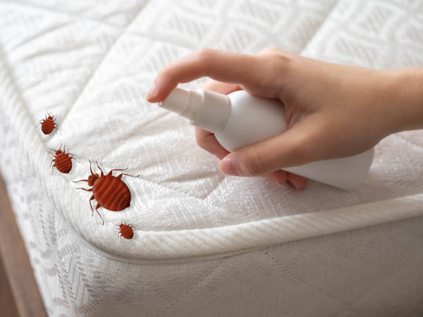 Best Best Pest Control Companies  in Sargent, TX